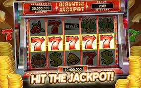 5577 bet app